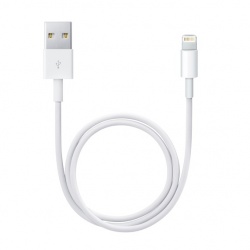 Apple Cable de Carga Lightning Macho - USB 2.0 A Macho, 50cm, Blanco, para iPhone/iPad/iPod 