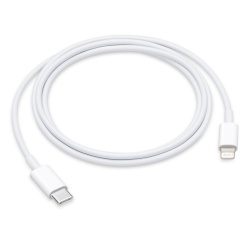 Apple Cable de Carga USB C Macho - Lightning Macho, 1 Metro, Blanco, para iPod/iPhone/iPad 