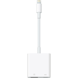 Apple Adaptador Lightning Macho - USB-C/Lightning Hembra  