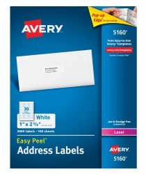 Avery 3000 Etiquetas Blancas, 67mm x 25mm 