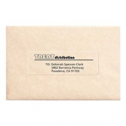 Avery Etiqueta de Envío 5663, 500 Etiquetas de 2'' x 4'', Transparente 