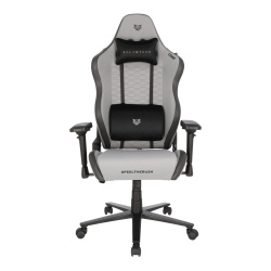 Balam Rush Silla Gamer Thunder Comp, hasta 150Kg, Gris 