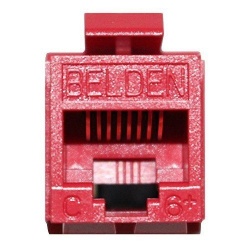 Belden Jack de Red Cat6+, RJ-45, Rojo 