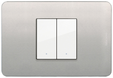 Bticino Placa de Pared JA4819AAQ, 2 Puertos, Aluminio Natural 