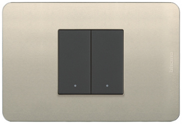 Bticino Placa de Pared JA4819APQ, 2 Puertos, Perla 