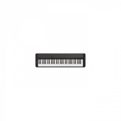 Casio Teclado Digital Portátil CT-S1, 61 Teclas, 61 Tonos, Micro USB-B/USB-A, Negro 