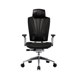 Cooler Master Silla Gamer Ergo L, hasta 200Kg, Negro/Plata 