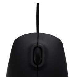 Mouse Dell Óptico MS111, Alámbrico, 1000DPI, USB, Negro 