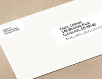 Dymo Etiqueta Adhesiva 30252, 29x90mm, 700 Etiquetas, Blanco 