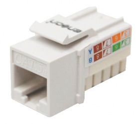 Enson Jack de Red Cat5e, RJ-45, Blanco 