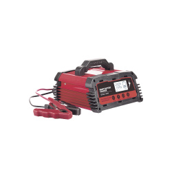 Epcom Cargador de Baterías, 12V, 25A 