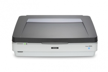 Scanner Epson Expression 12000XL, 2400 x 4800DPI, Escáner Color, USB 2.0, Gris 