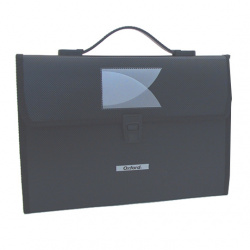 Esselte Archivo Expandible de Plástico F138, Cierre con Broche, 13 Divisiones, Negro 