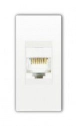 Estevez Placa de Pared N1118.5-BL, RJ-45 CAT5e, 1 Puerto, Blanco 