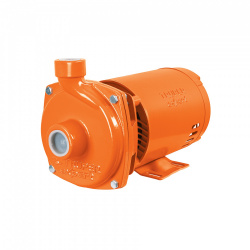 Expert Bomba de Agua Centrífuga BOAC-1AX, 9600L/h, 1HP 