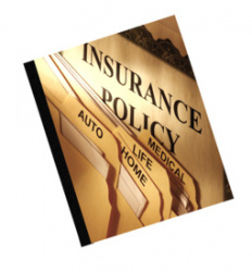 Fellowes Cubierta Térmica 1'', Paquete de 10 Piezas, hasta 240 Hojas, Negro 