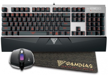Kit Gamer de Teclado y Mouse Gamdias incluye Hermes E1 + Demeter E2, Alámbrico, USB, Negro/Plata (Inglés) 