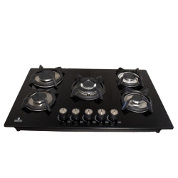 Gaxeco Parrilla de Gas Empotrable PVT-5, 5 Quemadores 