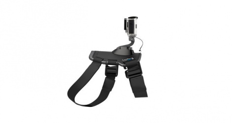 GoPro Arnes para Perro Fetch, Gris, para GoPro 