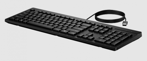 Teclado HP AY2Y7AA, Alámbrico, USB, Negro, Inglés 