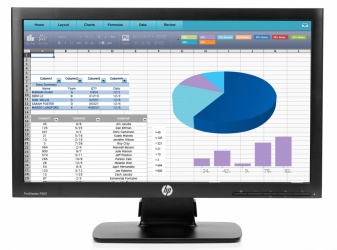 Monitor HP ProDisplay P202 LED 20'', Negro 