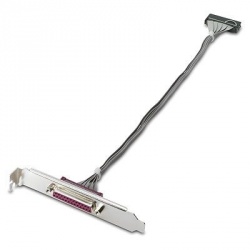 HP Adaptador de Puerto Paralelo KD061AA, Hembra - Paralelo 