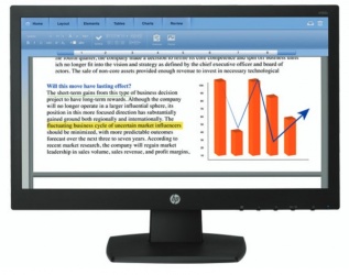 Monitor HP V193b LED 18.5'', Negro 