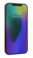 iFrogz Protector de Pantalla de Cristal Templado para iPhone 12/12 Pro, Transparente, Resistente a Rayones/Golpes 