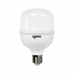 iGoto Foco LED F10530, Luz Fría, Base E27, 30W, 2700 Lúmenes, Blanco 