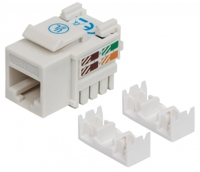 Intellinet Jack Categoría 6, RJ-45, Blanco 