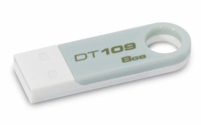 Memoria USB Kingston DataTraveler 109, 8GB, USB 2.0, Plata/Blanco 