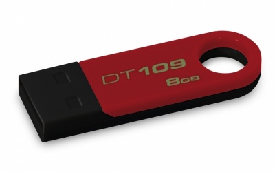 Memoria USB Kingston DataTraveler 109, 8GB, USB 2.0, Negro/Rojo 