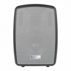 KSR Bafle MSA-9908BT, 8'', Bluetooth, Alámbrico/Inalámbrico, 30W RMS, 3200W PMPO, USB, Negro 