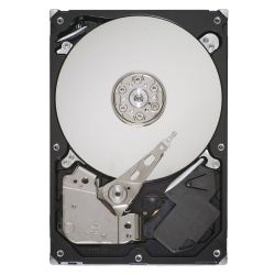 Disco Duro para Servidor Lenovo 45J7918 1TB SATA II 7200RPM 3.5