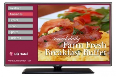 LG 42LY570H Pantalla Comercial LED 42'', Full HD, Titánico 