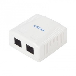 LinkedPRO Caja para Pared LP-WP-39-C6A, 2 Puertos, Blanco - incluye 2 Jacks Cat6a 