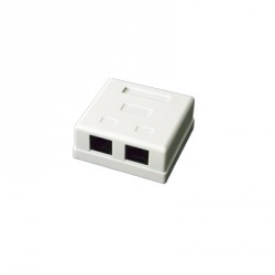 LinkedPRO Caja de Pared LP-WP-6035 UTP Cat5e, 2x RJ-45, Blanco 