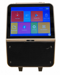 Lm Bocina Portátil Karaoke LM-K15, Bluetooth, Inalámbrico, Negro 