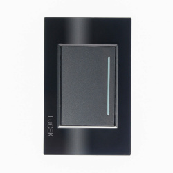 Lucek Placa con Apagador BP01-CNN, 1 Interruptor, 250V, 16A, Negro 