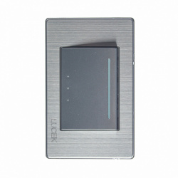 Lucek Placa con Apagador para Escalera BP01/3-M/A, 1 Interruptor, 250V, 16A, Gris 