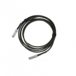 Mellanox Cable MCP1600-E005E26 QSFP28 Macho - QSFP28 Macho, 5 Metros, Negro 