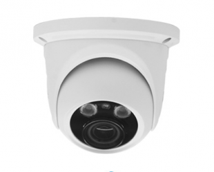 Pelco Cámara IP Domo IR para Interiores/Exteriores MFD200SV4, Alámbrico, 1920 x 1080 Pixeles, Día/Noche 