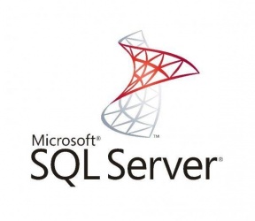 Microsoft SQL Server 2016 CAL, 1 Usuario 