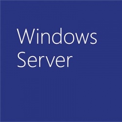 Microsoft Windows Server 2019, 1 CAL, 