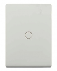 Modus Pro Placa Ciega para Pared E5N0PTLM, 1 Pieza, Marfil  