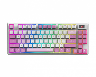 Teclado Gamer MSI Forge GK600 TKL Wireless LED RGB TKL, Teclado Mecánico, Kailh Low-Profile White, Inalámbrico, USB/Bluetooth, Multicolor, Español 
