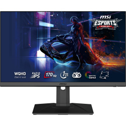 Monitor Gamer MSI G272QPF LED 27