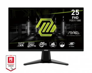 Monitor Gamer MSI MAG 255XFV LED 24.5