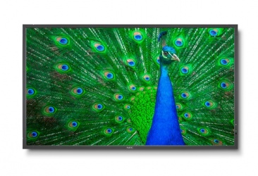 NEC MultiSync C651Q Pantalla Comercial LED 65