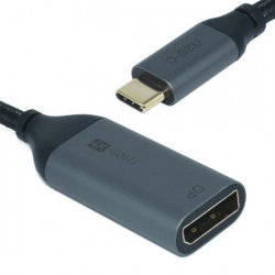 Ovaltech Adaptador USB-C Macho - DisplayPort Hembra  